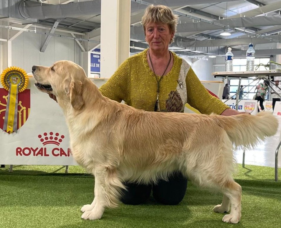 Ultimate Dream du Plateau des Bories