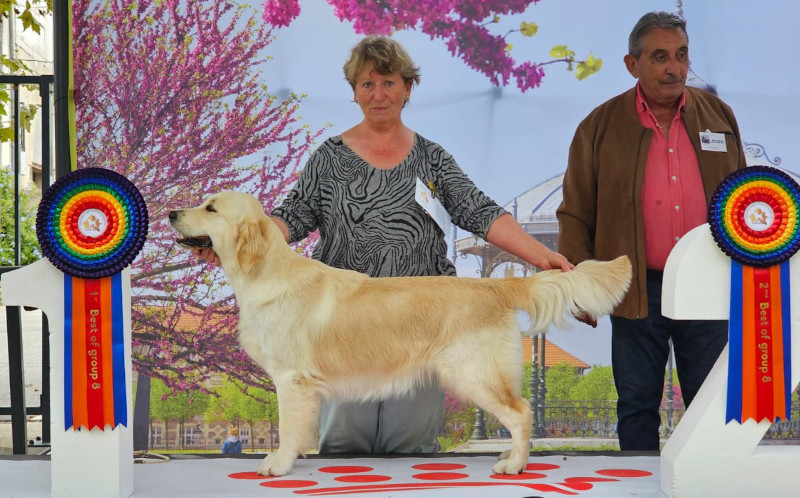 Ultimate Coloured Girl du Plateau des Bories