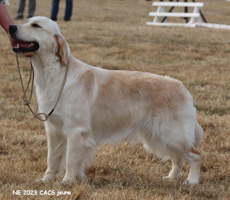 CH. Ti Amo Cara Mia du Plateau des Bories