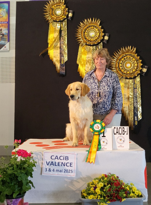 Very Nice Dream du Plateau des Bories